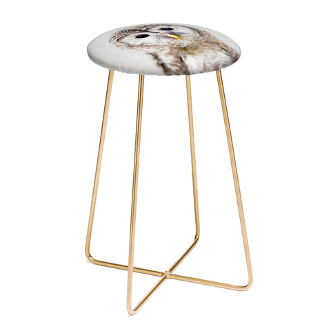 Gal Design Baby Owl Colorful Counter Stool