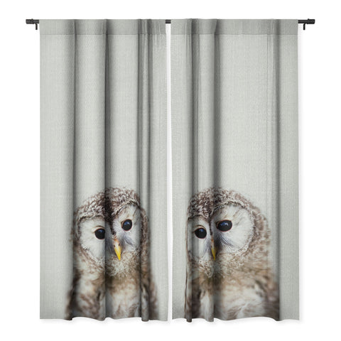 Gal Design Baby Owl Colorful Blackout Non Repeat