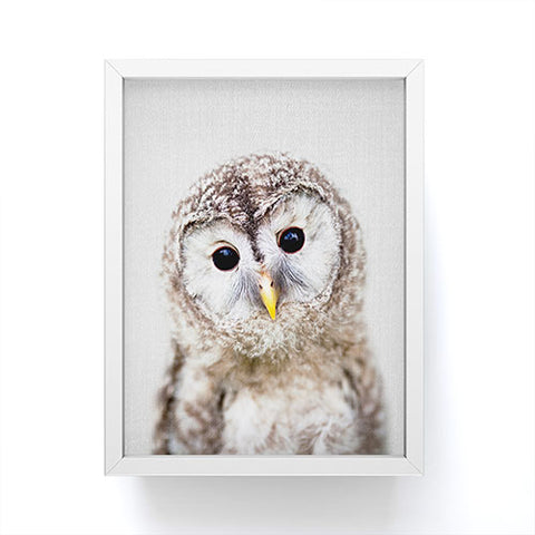 Gal Design Baby Owl Colorful Framed Mini Art Print