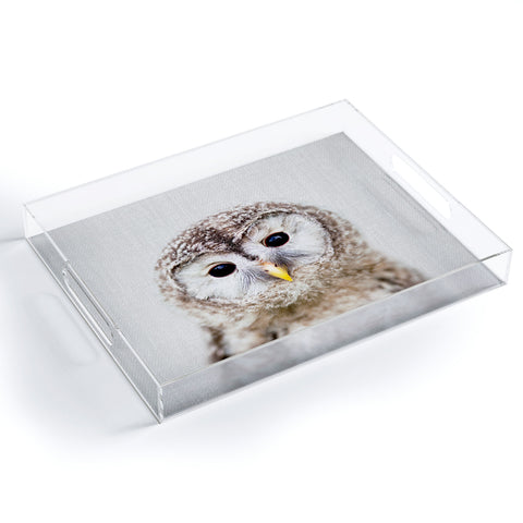 Gal Design Baby Owl Colorful Acrylic Tray