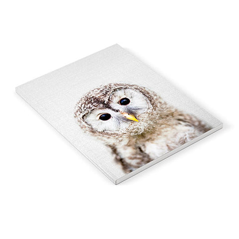 Gal Design Baby Owl Colorful Notebook