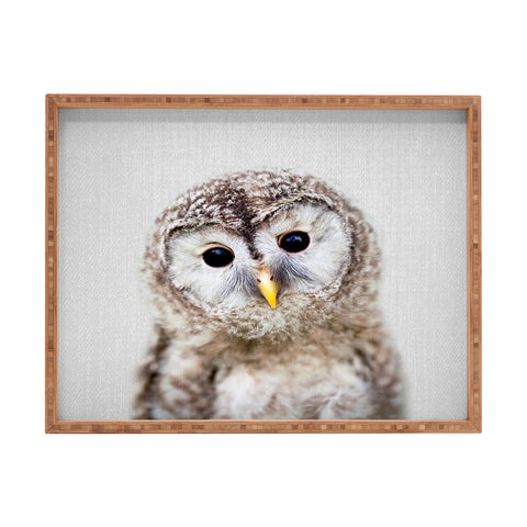 Gal Design Baby Owl Colorful Rectangular Tray