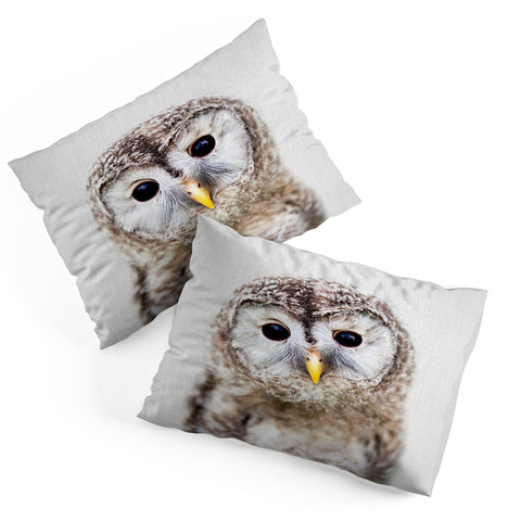 Gal Design Baby Owl Colorful Pillow Shams