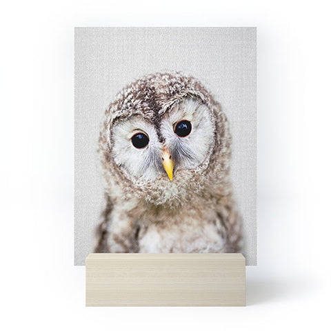 Gal Design Baby Owl Colorful Mini Art Print