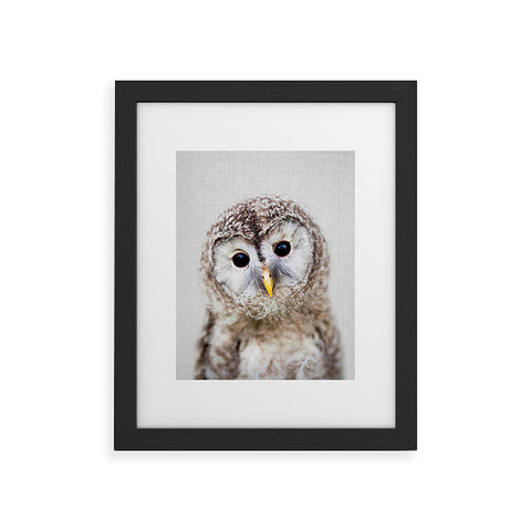 Gal Design Baby Owl Colorful Framed Art Print