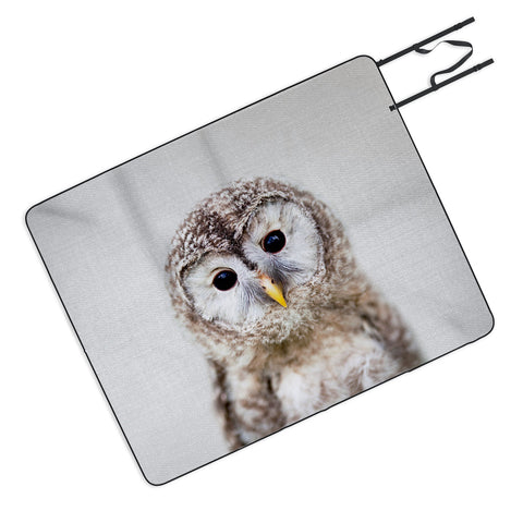 Gal Design Baby Owl Colorful Picnic Blanket