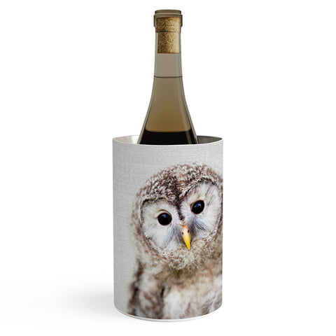 Gal Design Baby Owl Colorful Wine Chiller