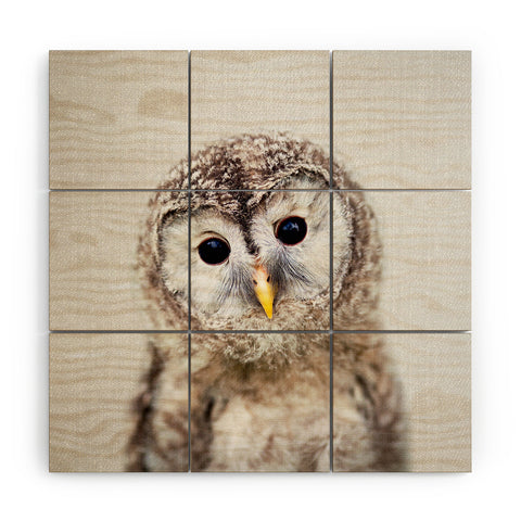 Gal Design Baby Owl Colorful Wood Wall Mural
