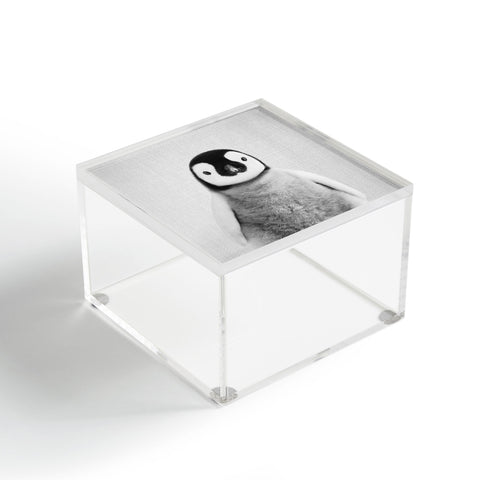 Gal Design Baby Penguin Black White Acrylic Box