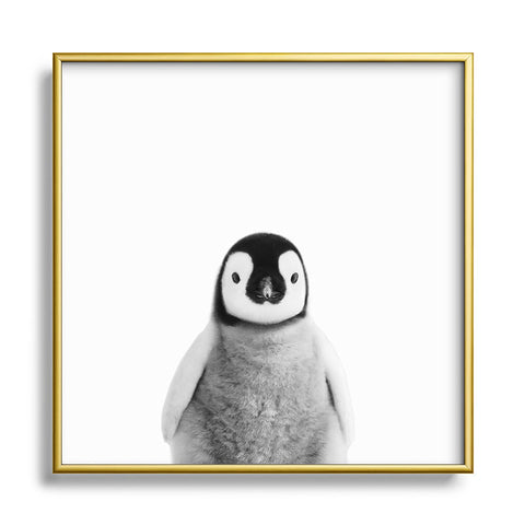 Gal Design Baby Penguin Black White Metal Square Framed Art Print