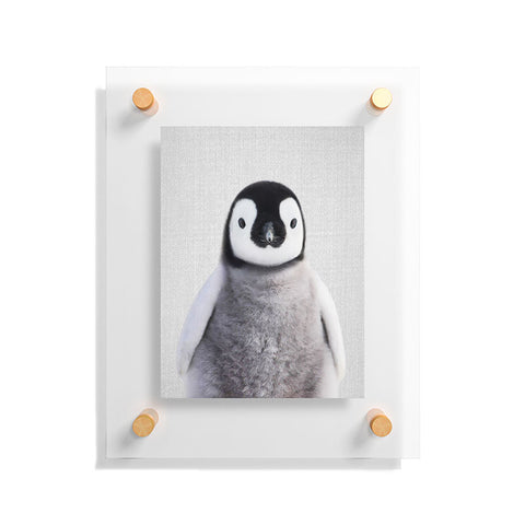 Gal Design Baby Penguin Colorful Floating Acrylic Print