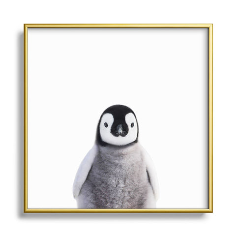 Gal Design Baby Penguin Colorful Metal Square Framed Art Print