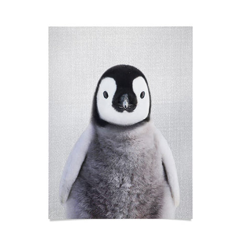Gal Design Baby Penguin Colorful Poster