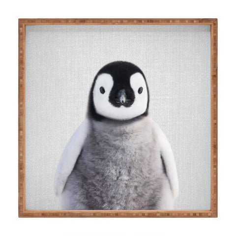 Gal Design Baby Penguin Colorful Square Tray