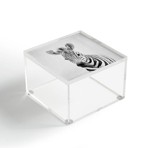 Gal Design Baby Zebra Black White Acrylic Box