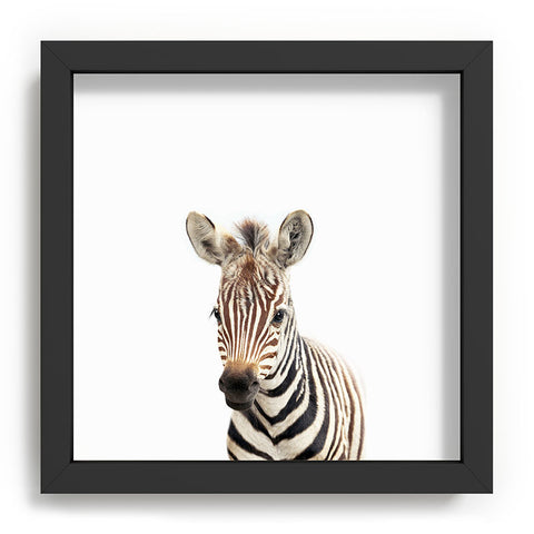 Gal Design Baby Zebra Colorful Recessed Framing Square
