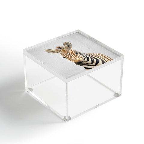 Gal Design Baby Zebra Colorful Acrylic Box
