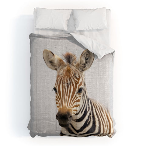 Gal Design Baby Zebra Colorful Comforter