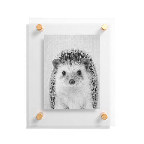 Gal Design Hedgehog Black White Floating Acrylic Print