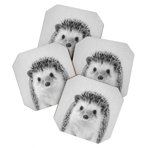 Gal Design Hedgehog Black White Coaster Set