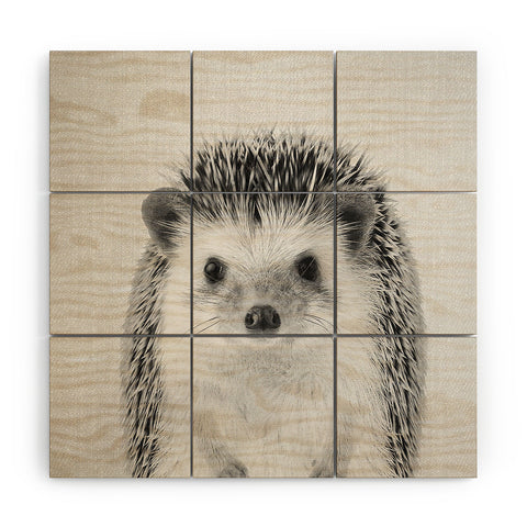 Gal Design Hedgehog Black White Wood Wall Mural