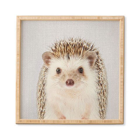 Gal Design Hedgehog Colorful Framed Wall Art