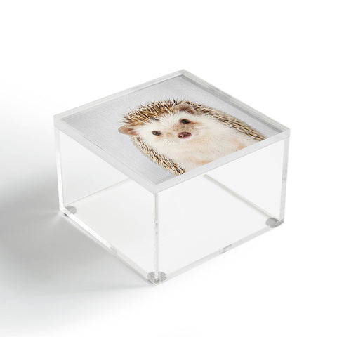 Gal Design Hedgehog Colorful Acrylic Box