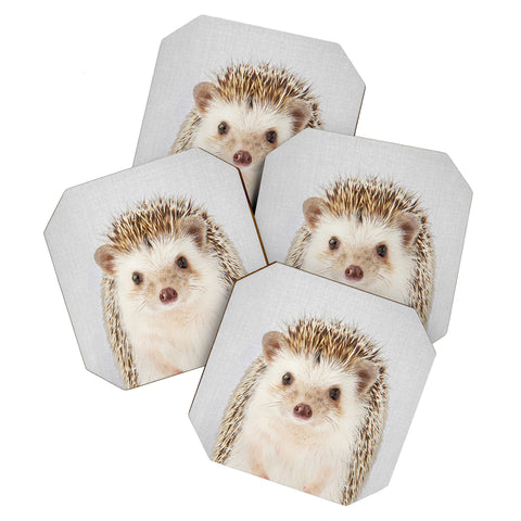 Gal Design Hedgehog Colorful Coaster Set
