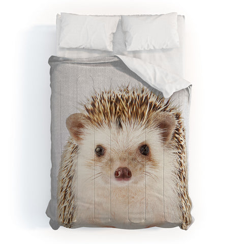 Gal Design Hedgehog Colorful Comforter