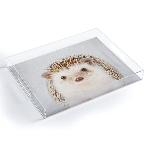 Gal Design Hedgehog Colorful Acrylic Tray