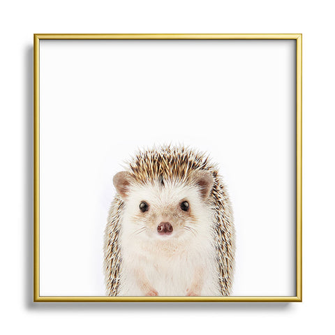 Gal Design Hedgehog Colorful Metal Square Framed Art Print