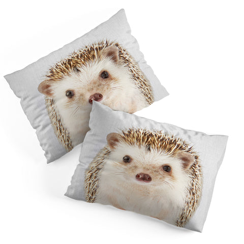 Gal Design Hedgehog Colorful Pillow Shams