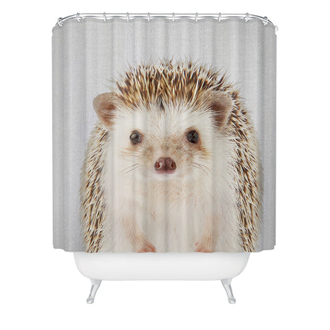 Gal Design Hedgehog Colorful Shower Curtain