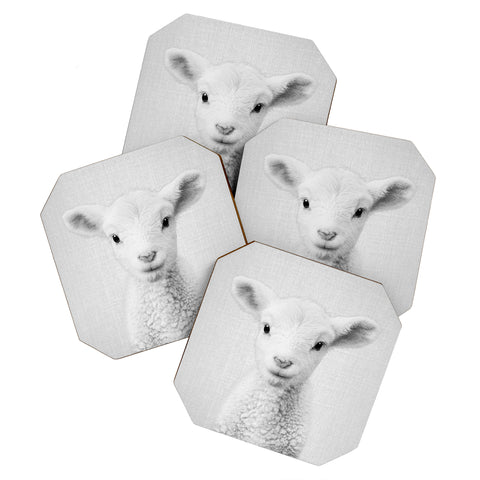Gal Design Lamb Black White Coaster Set