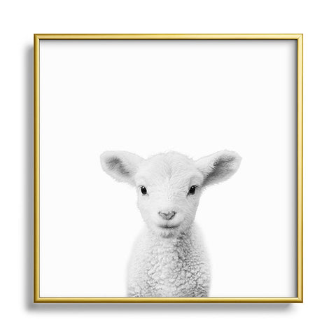 Gal Design Lamb Black White Metal Square Framed Art Print