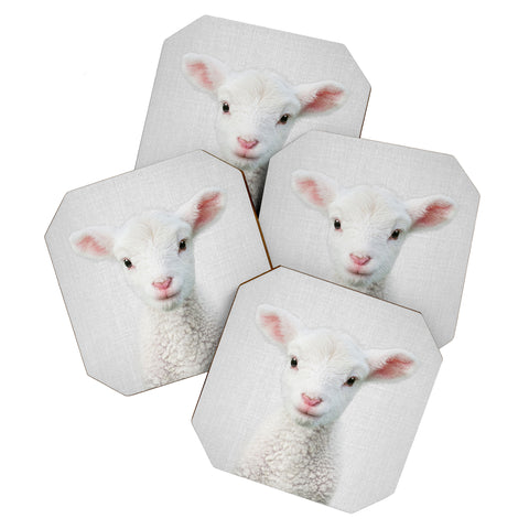 Gal Design Lamb Colorful Coaster Set