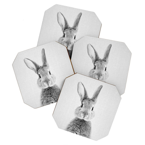 Gal Design Rabbit Black White Coaster Set