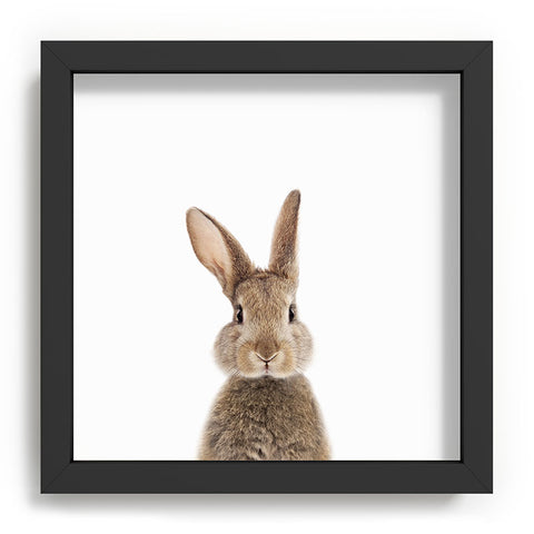 Gal Design Rabbit Colorful Recessed Framing Square