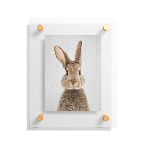 Gal Design Rabbit Colorful Floating Acrylic Print