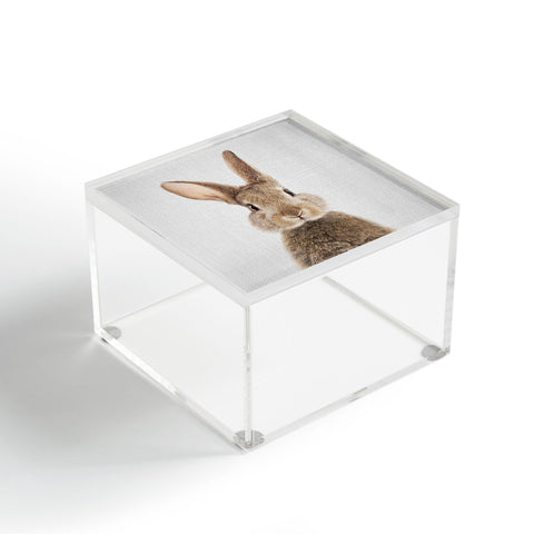 Gal Design Rabbit Colorful Acrylic Box