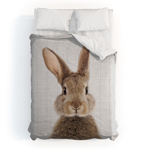 Gal Design Rabbit Colorful Comforter
