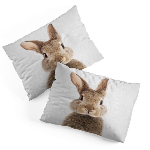 Gal Design Rabbit Colorful Pillow Shams