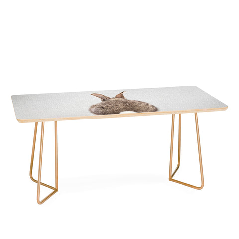 Gal Design Rabbit Tail Colorful Coffee Table