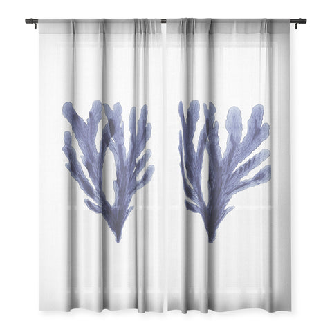 Gal Design Seaweed 6 Sheer Non Repeat