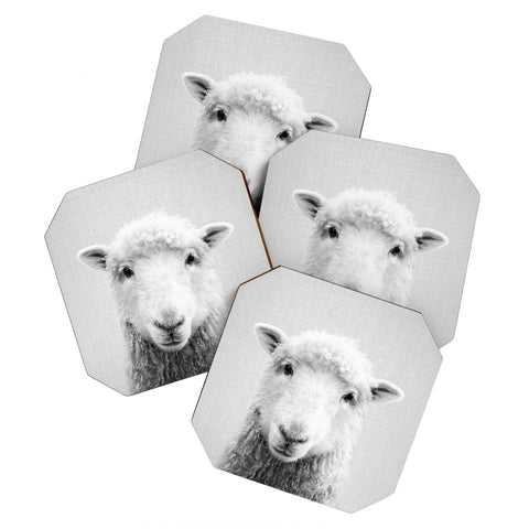 Gal Design Sheep Black White Coaster Set