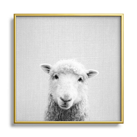 Gal Design Sheep Black White Metal Square Framed Art Print