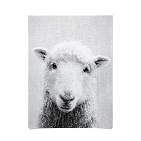 Gal Design Sheep Black White Poster