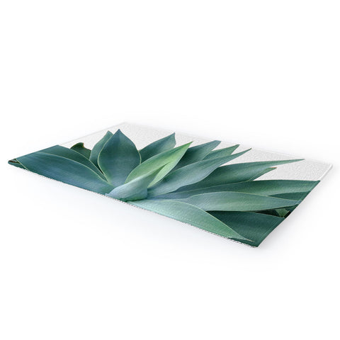 Gale Switzer Agave Blanco Area Rug