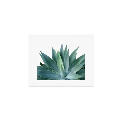 Gale Switzer Agave Blanco Art Print