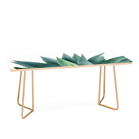 Gale Switzer Agave Blanco Coffee Table